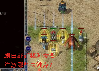 刷白野野猪时需要注意哪些关键点? 刷白野野猪时需要注意哪些关键点?