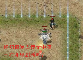 你知道复古传奇中猫王在哪里刷新吗? 你知道复古传奇中猫王在哪里刷新吗?