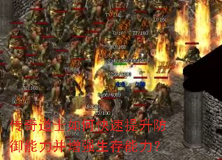 传奇道士如何快速提升防御能力并增强生存能力? 传奇道士如何快速提升防御能力并增强生存能力?