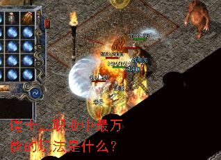 道士三职业中最万能的玩法是什么? 道士三职业中最万能的玩法是什么?