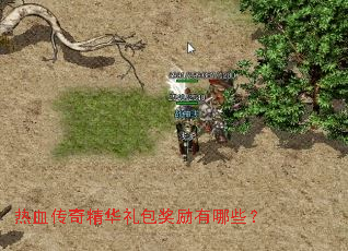 热血传奇精华礼包奖励有哪些? 热血传奇精华礼包奖励有哪些?