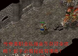 传奇单职业私服金币获取全攻略?新手必看秘籍有哪些? 传奇单职业私服金币获取全攻略?新手必看秘籍有哪些?