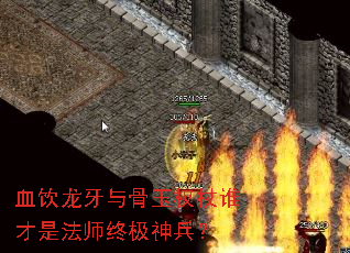 血饮龙牙与骨玉权杖谁才是法师终极神兵? 血饮龙牙与骨玉权杖谁才是法师终极神兵?