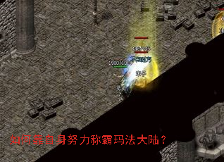 如何靠自身努力称霸玛法大陆? 如何靠自身努力称霸玛法大陆?