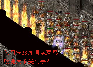 ����˽����δӲ����ɱ�Ϊ������֣�