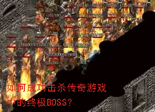 ��γɹ���ɱ������Ϸ�е��ռ�BOSS��