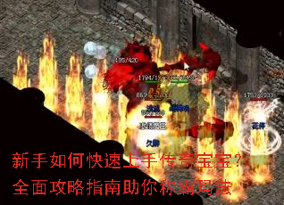 ������ο������ִ��汦����ȫ�湥��ָ������ư��귨
