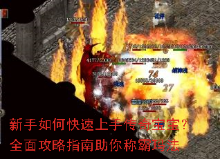 ������ο������ִ��汦����ȫ�湥��ָ������ư��귨