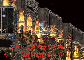 �����������������ж�ǿ�����������ο��ٻ�ȡ��