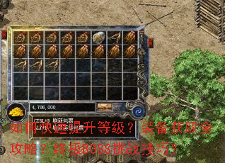 ��ο��������ȼ���װ����ȡȫ���ԣ��ռ�BOSS��ս���ɣ�