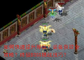 ��ο��������ȼ���װ����ȡȫ���ԣ��ռ�BOSS��ս���ɣ�