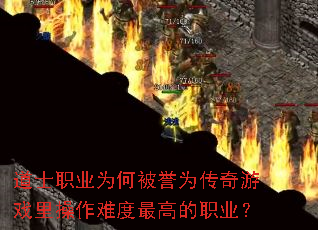 ��ʿְҵΪ�α���Ϊ������Ϸ������Ѷ���ߵ�ְҵ��