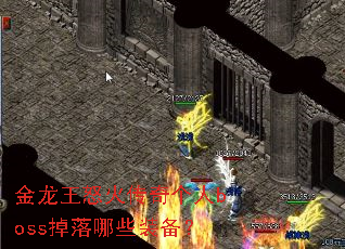 金龙王怒火传奇个人boss掉落哪些装备? 金龙王怒火传奇个人boss掉落哪些装备?