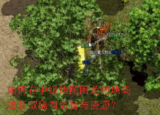 如何在中级地图困龙绝地高效获取稀有装备与资源? 如何在中级地图困龙绝地高效获取稀有装备与资源?