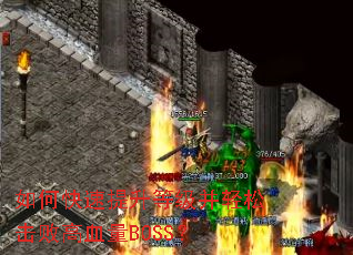 ��ο��������ȼ������ɻ��ܸ�Ѫ��BOSS��
