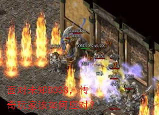 ���δ֪BOSS��������Ҹ����Ӧ�ԣ�