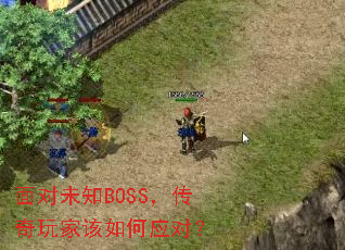 ���δ֪BOSS��������Ҹ����Ӧ�ԣ�