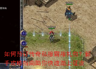 ���Ԥ������˽���Է���������ֹ���ָ���������̤����;