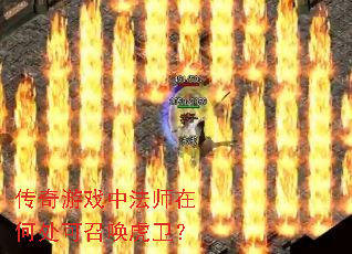 传奇游戏中法师在何处可召唤虎卫? 传奇游戏中法师在何处可召唤虎卫?