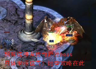 ��֪���������Ұ��boss��������λ�ã��ٲ鹥���ڴ�