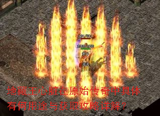 �ز���������ԭʼ�����о����к���;���ȡ������⣿