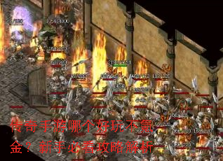 ���������ĸ����治봽����ֱؿ����Խ���