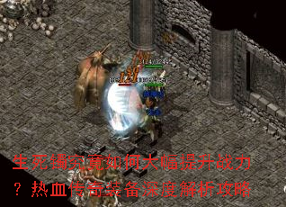 ������������δ������ս������Ѫ����װ����Ƚ�������
