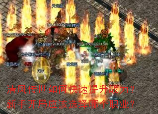 ��紫����ο�������ս�������ֿ���Ӧ��ѡ���ĸ�ְҵ��