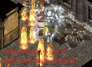 ����sf999��վ����ο���������ɫ�ȼ���װ����ȡ��