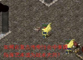 ����ڸ��Ŵ����л�������ָ��������Ϊս����ʦ��