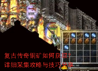 ���Ŵ���ͭ����λ�ȡ����ϸ�ɼ������뼼�ɷ���