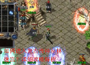 如何进入复古传神丛林迷宫?详细攻略解析 如何进入复古传神丛林迷宫?详细攻略解析