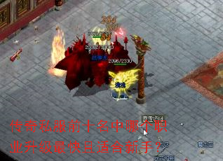 传奇私服前十名中哪个职业升级最快且适合新手? 传奇私服前十名中哪个职业升级最快且适合新手?