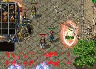 传奇私服前十名中哪个职业升级最快且适合新手? 传奇私服前十名中哪个职业升级最快且适合新手?