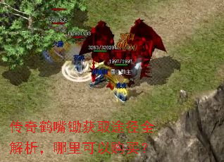 传奇鹤嘴锄获取途径全解析,哪里可以购买? 传奇鹤嘴锄获取途径全解析,哪里可以购买?