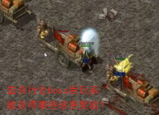 ��ɱ�л�boss������ܻ����Щ�������