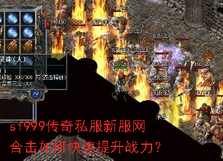 sf999����˽���·����ϻ���ο�������ս����