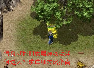 传奇sf怀旧版屠魔战场如何进入?求详细攻略指南。 传奇sf怀旧版屠魔战场如何进入?求详细攻略指南。