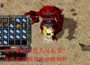 ��ʿְҵ��Ӧ����ѫ�£�����ѫ�±��ȫ���Խ���