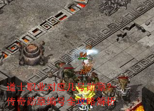 ��ʿְҵ��Ӧ����ѫ�£�����ѫ�±��ȫ���Խ���