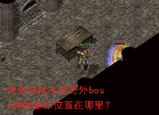 ������Ϸ����Ұ��boss��������λ�������