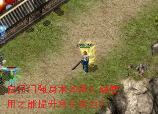 白日门强身术如何正确使用才能提升角色实力? 白日门强身术如何正确使用才能提升角色实力?