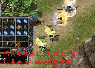 ������Ϸսʿ��ʦ��ʿ�ĸ�ְҵ��ǿ���������ѡ��
