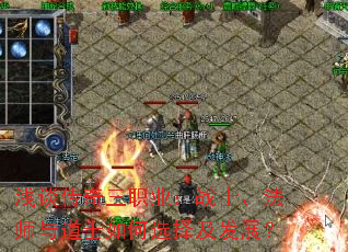 ǳ̸������ְҵ��սʿ����ʦ���ʿ���ѡ�񼰷�չ��