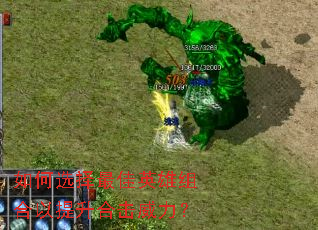 ���ѡ�����Ӣ������������ϻ�������