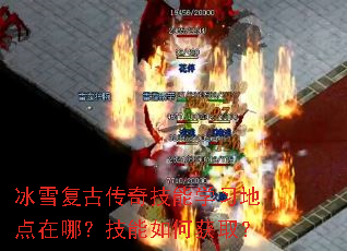 ��ѩ���Ŵ��漼��ѧϰ�ص����ģ�������λ�ȡ��