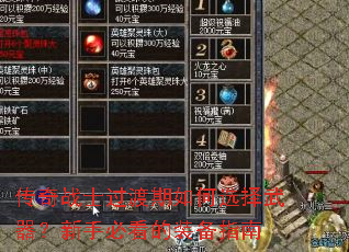 ����սʿ���������ѡ�����������ֱؿ���װ��ָ��