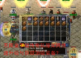 ���޽�Ұ洫��˽����ο����������ȡ����װ����