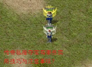 ����˽���ᱦ����Щʵ�ü�����ע�����