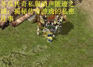 冬瓜传奇私服销声匿迹之谜：揭秘传奇游戏的私密往事